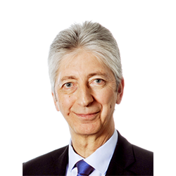 Dominique FONTENAILLE