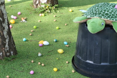 Des œufs de Pâques sont disposés au sol, avec une tortue sur son rocher - Agrandir l'image 36 sur 55, fenêtre modale