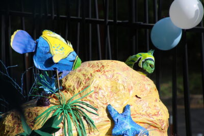 Agrandir l'image 41 sur 55, fenêtre modale