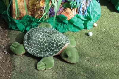 Agrandir l'image 45 sur 55, fenêtre modale