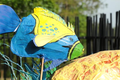 Agrandir l'image 46 sur 55, fenêtre modale