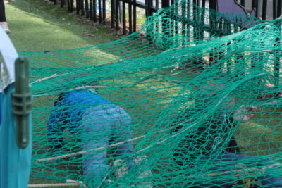 Des enfants qui passent sous un filet de pêche vert. - Agrandir l'image 13 sur 55, fenêtre modale