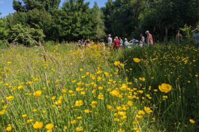 Agrandir l'image 13 sur 28, fenêtre modale