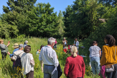 Agrandir l'image 4 sur 28, fenêtre modale