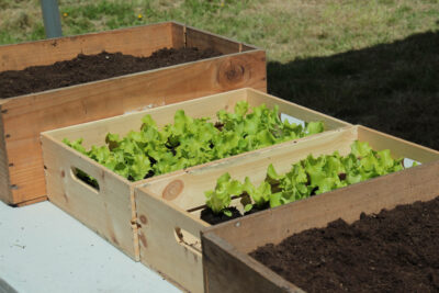 Agrandir l'image 6 sur 30, fenêtre modale