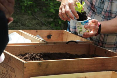 Agrandir l'image 2 sur 30, fenêtre modale