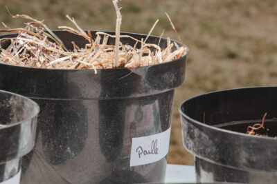 Agrandir l'image 8 sur 30, fenêtre modale