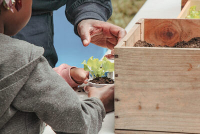 Agrandir l'image 12 sur 30, fenêtre modale