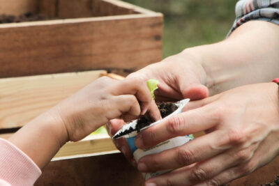 Agrandir l'image 13 sur 30, fenêtre modale