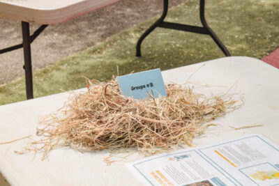 Agrandir l'image 15 sur 30, fenêtre modale