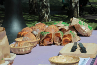 Agrandir l'image 14 sur 30, fenêtre modale