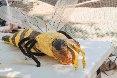 Agrandir l'image 19 sur 30, fenêtre modale