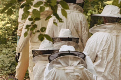 Agrandir l'image 29 sur 30, fenêtre modale