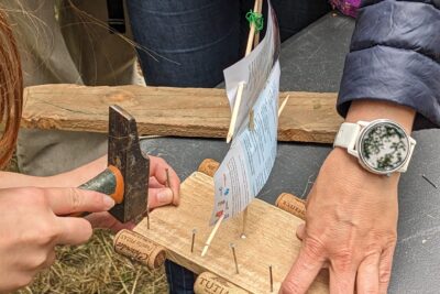 Agrandir l'image 11 sur 15, fenêtre modale