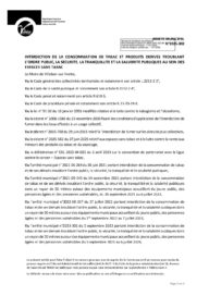 Agrandir l'image, fenêtre modale