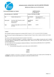 Agrandir l'image, fenêtre modale