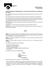 Agrandir l'image, fenêtre modale