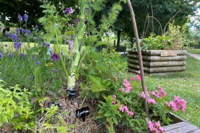 Agrandir l'image 1 sur 3, fenêtre modale