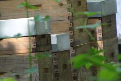 Agrandir l'image 1 sur 4, fenêtre modale