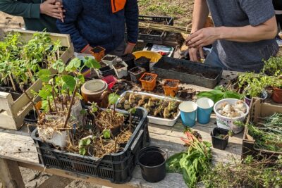 Agrandir l'image 3 sur 3, fenêtre modale