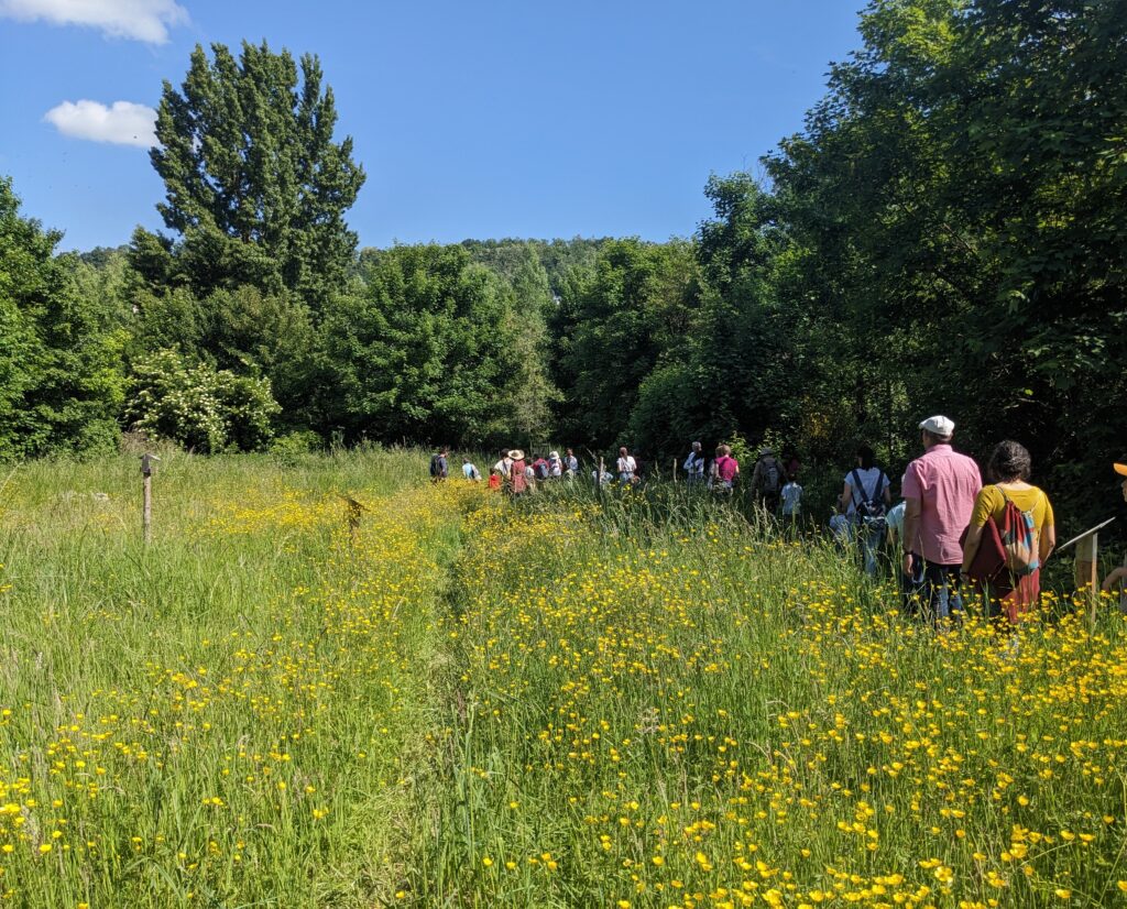 Agrandir l'image, fenêtre modale