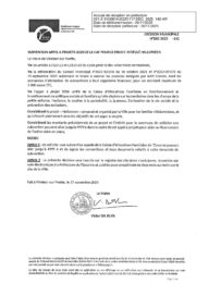 Agrandir l'image, fenêtre modale