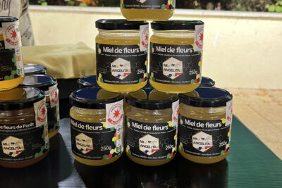 Agrandir l'image 6 sur 15, fenêtre modale