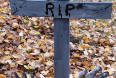 Agrandir l'image 4 sur 34, fenêtre modale