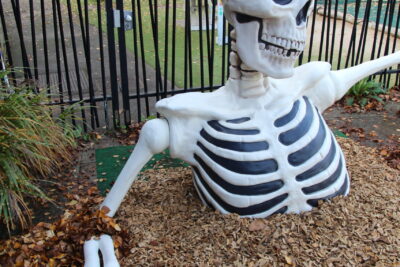 Agrandir l'image 6 sur 34, fenêtre modale