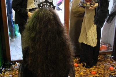 Agrandir l'image 8 sur 34, fenêtre modale