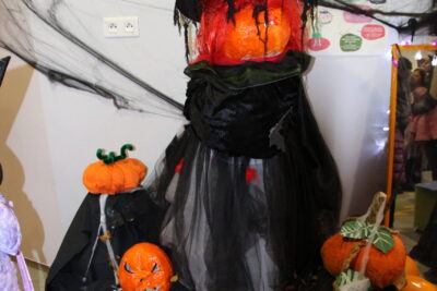 Agrandir l'image 10 sur 34, fenêtre modale