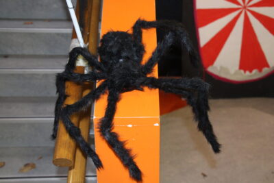 Agrandir l'image 11 sur 34, fenêtre modale