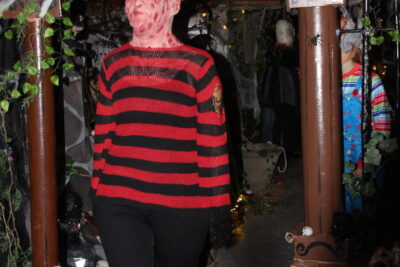 Agrandir l'image 29 sur 34, fenêtre modale