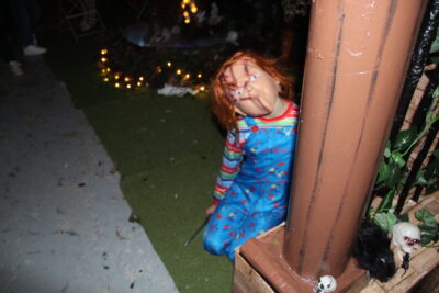 Agrandir l'image 30 sur 34, fenêtre modale