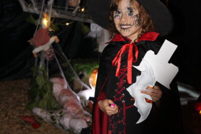 Agrandir l'image 2 sur 34, fenêtre modale