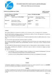 Agrandir l'image, fenêtre modale