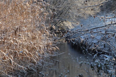 Promenade de l'Yvette enneigée  - Agrandir l'image 2 sur 19, fenêtre modale