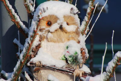 Décoration d'une chouette recouverte de neige dans un sapin  - Agrandir l'image 19 sur 19, fenêtre modale