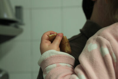 Agrandir l'image 26 sur 84, fenêtre modale