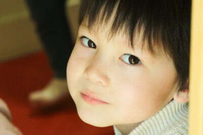 Agrandir l'image 41 sur 84, fenêtre modale