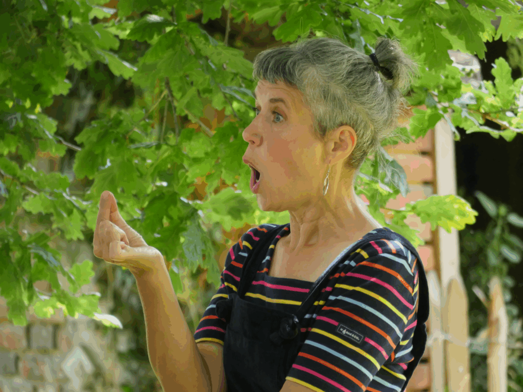 Agrandir l'image, fenêtre modale