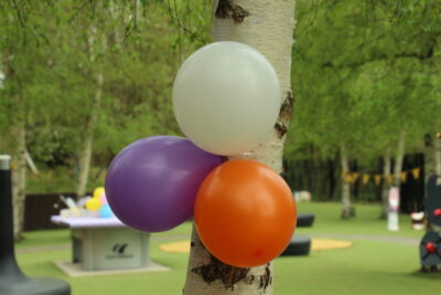 Agrandir l'image 98 sur 120, fenêtre modale