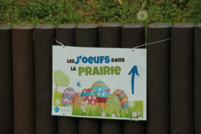 Agrandir l'image 86 sur 120, fenêtre modale