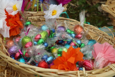 Agrandir l'image 81 sur 120, fenêtre modale