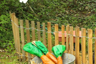 Agrandir l'image 79 sur 120, fenêtre modale