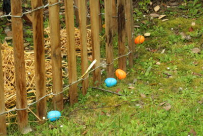 Agrandir l'image 78 sur 120, fenêtre modale