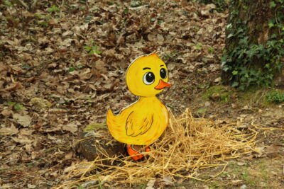 Agrandir l'image 77 sur 120, fenêtre modale