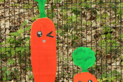 Agrandir l'image 76 sur 120, fenêtre modale