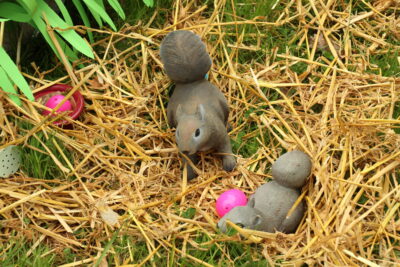 Agrandir l'image 70 sur 120, fenêtre modale