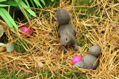 Agrandir l'image 113 sur 120, fenêtre modale